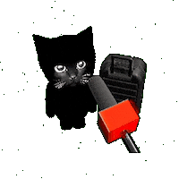 Bro Gif Sticker