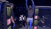 Jared Cannonier Sport GIF by UFC