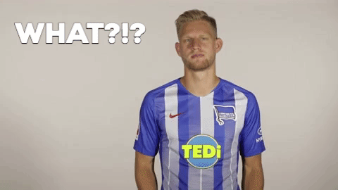 Hertha Berlin What GIF by Hertha BSC
