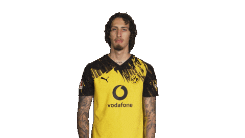 Borussia Dortmund Silva Sticker by Bundesliga