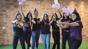 Frameworkdigital  GIF