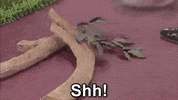 Number One Season 4 Episode 12 GIF