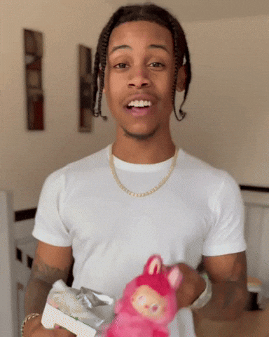 Labubu Lil D GIF by Respective