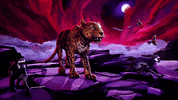 angry cat GIF by San Diego Zoo