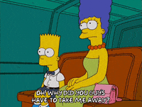 bart simpson episode 21 GIF