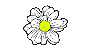 Girl Flower Sticker