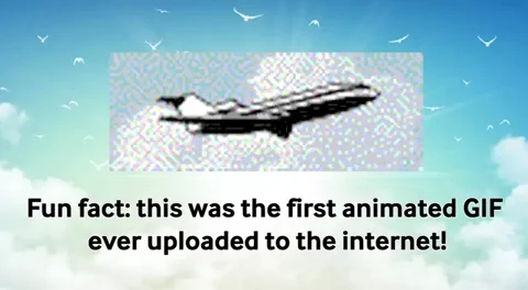 giphy.com