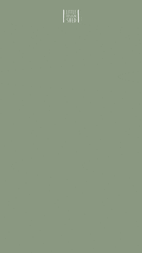 LittleDesignShed  GIF