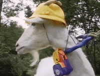 90S Goat GIF
