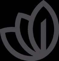 Semear agro agricultura agronegocio folhas GIF