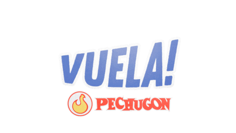 Car Paraguay Sticker by Pechugon