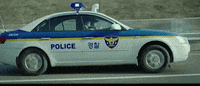 South Korea GIF