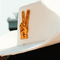 Fight On College Football GIF by BLVD Studios