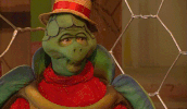 turtle owner GIF