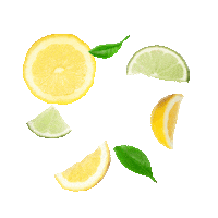 ketel1hardlemonade fruit circle frame 1forall Sticker