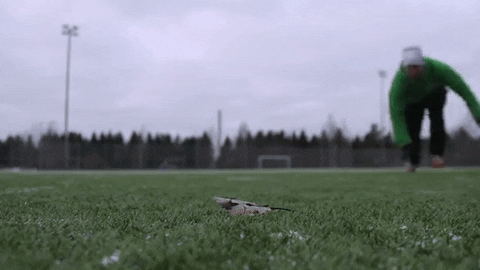 sliding head first GIF by theFC