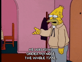 homer simpson GIF