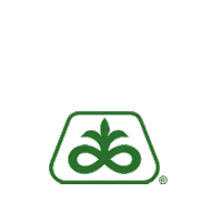 Pioneer Sticker by Cortevapy