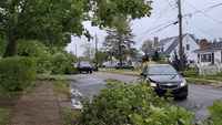 Fallen Trees Take Down Powerlines as Post-Tropical Cyclone Fiona Hits Nova Scotia