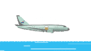 Air Cargo Airfreight Sticker by Blueray Cargo