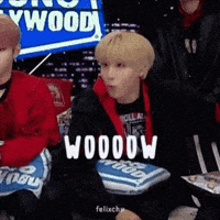 Stray Kids Wow GIF