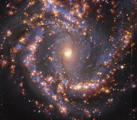 lornibaby giphyupload GIF