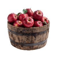 Apple Pie Apples Sticker