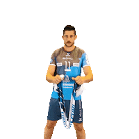 Volleyball Andrei Sticker by SWD Powervolleys Düren