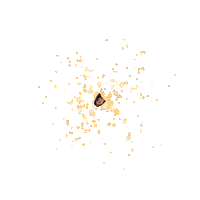 Inyoungzzang Sticker by Instagram Tag In Virtual GIF Booth