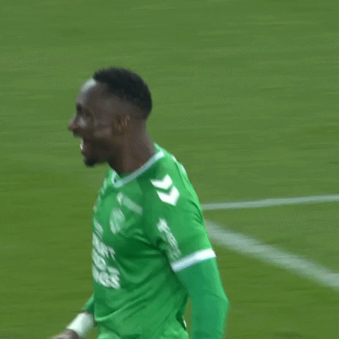 Celebration Hug GIF by AS Saint-Étienne