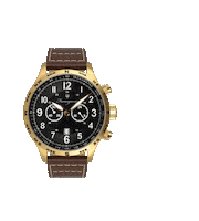 Watches Sticker by Fumagazzi Orologi