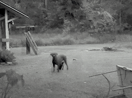 Music Video Friends GIF by bLAck pARty