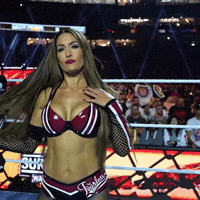 Nikki Bella Hair Flip GIF