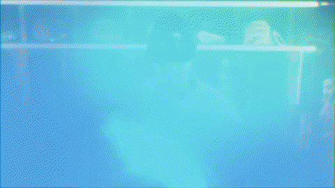 baseball wave GIF by GreenWave