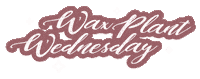 Plants Wednesday Sticker