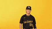Cal State La Sport GIF by Cal State LA Golden Eagles