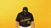 Cal State La Sport GIF by Cal State LA Golden Eagles