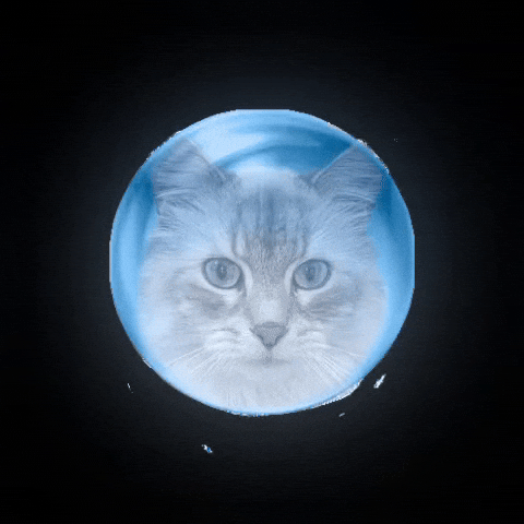 Cat Orb GIF