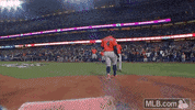 World Series Sport GIF by MLB