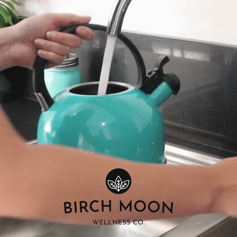 birchmoon giphyupload water tea cup GIF