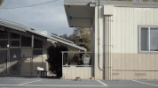 skate skating GIF by KING OF THE ROAD