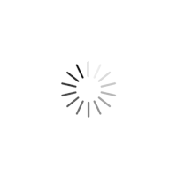 GIF by Giphy QA