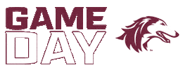 Game Day Football Sticker by SIU Student Center