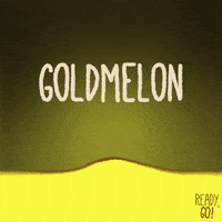 Water Melon Food GIF