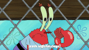 season 9 lost in bikini bottom GIF by SpongeBob SquarePants