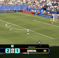 France Team GIF