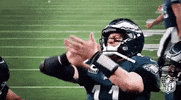 GIF by NFL