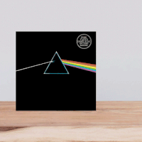 GIF by Viral Amplifier