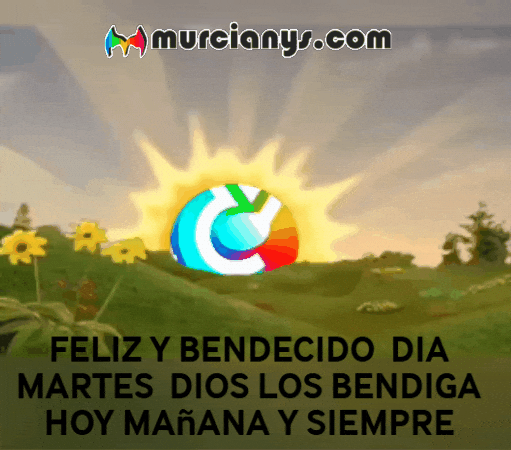 Sol Amigos GIF by Murcianys LLC