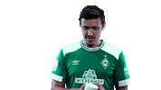 football coffee Sticker by SV Werder Bremen
